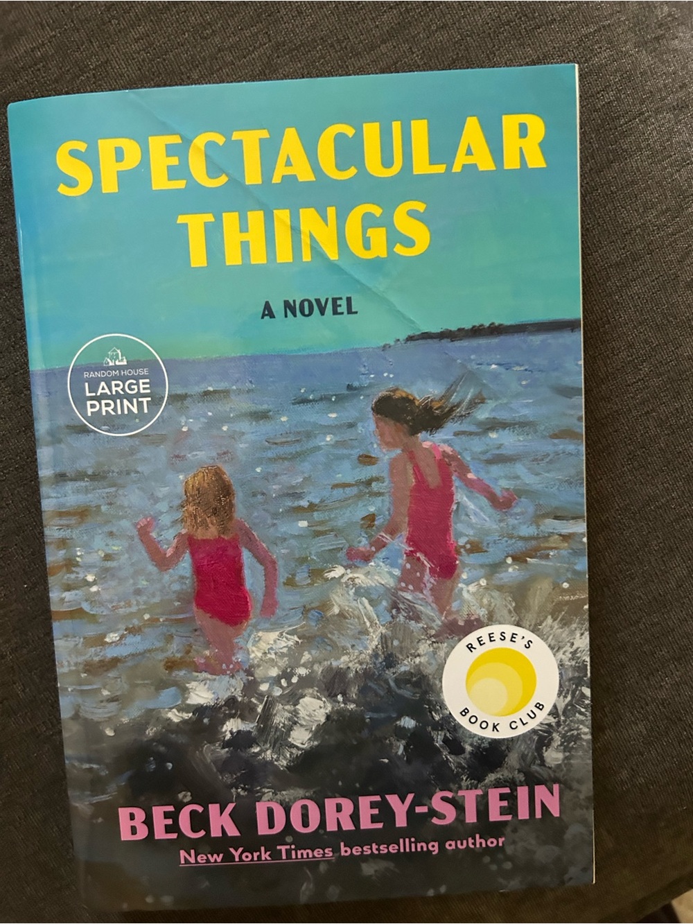 Spectacular Things LARGE PRINT Book